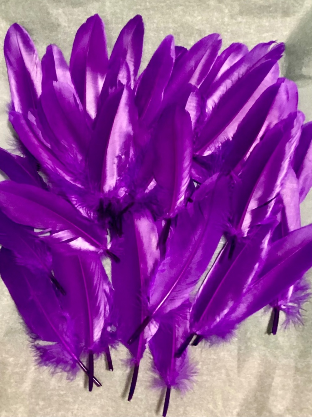Purple Flowers (50)